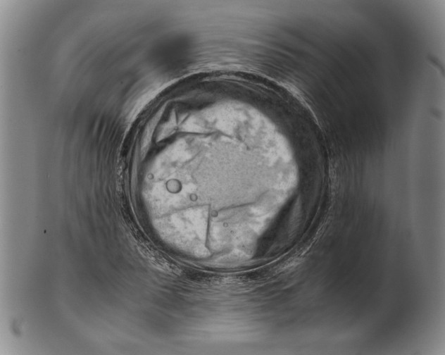 X0000101960879200808081526