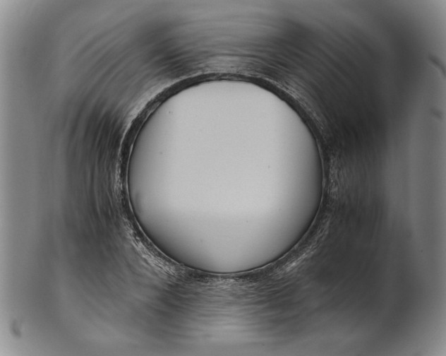 X0000101960880200808081526