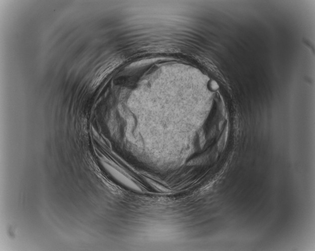 X0000101960881200808081526