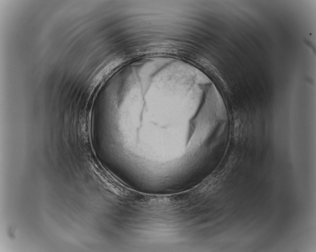 X0000101960882200808081526