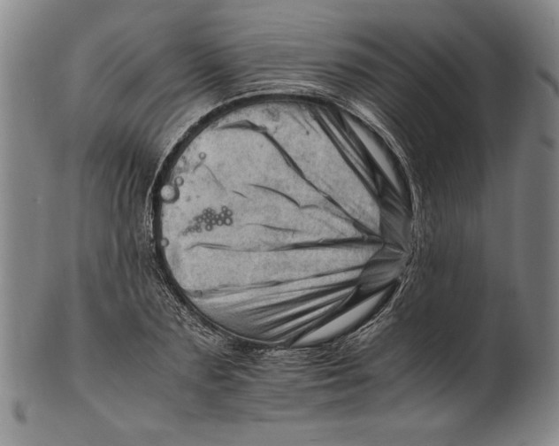 X0000101960883200808081526