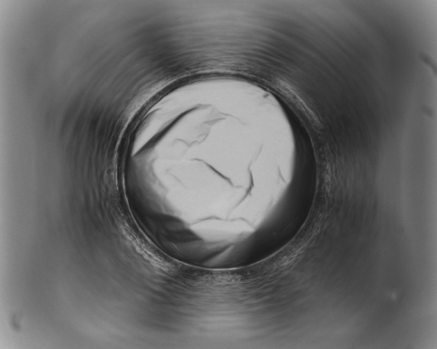 X0000101960884200808081526