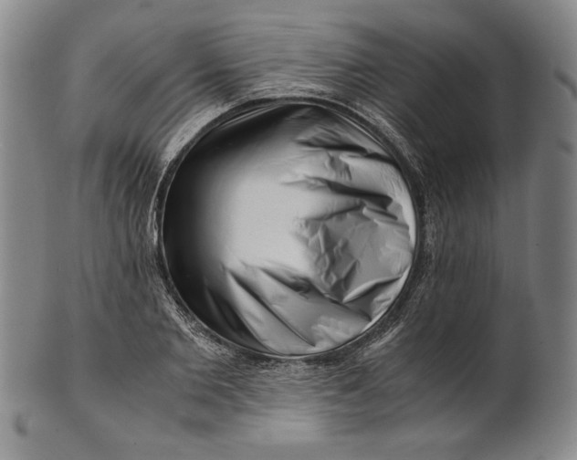 X0000101960885200808081526