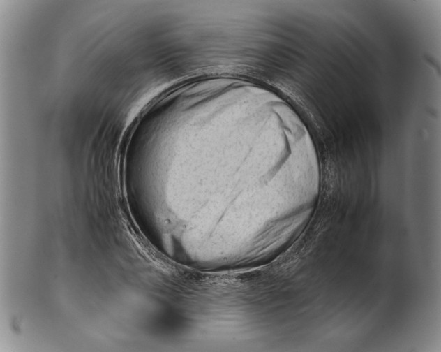 X0000101960886200808081526