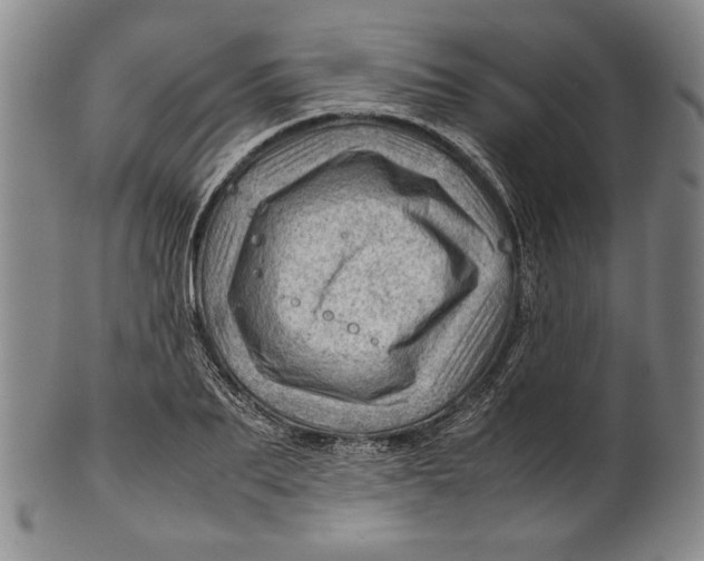 X0000101960887200808081526