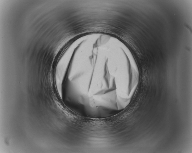 X0000101960888200808081526