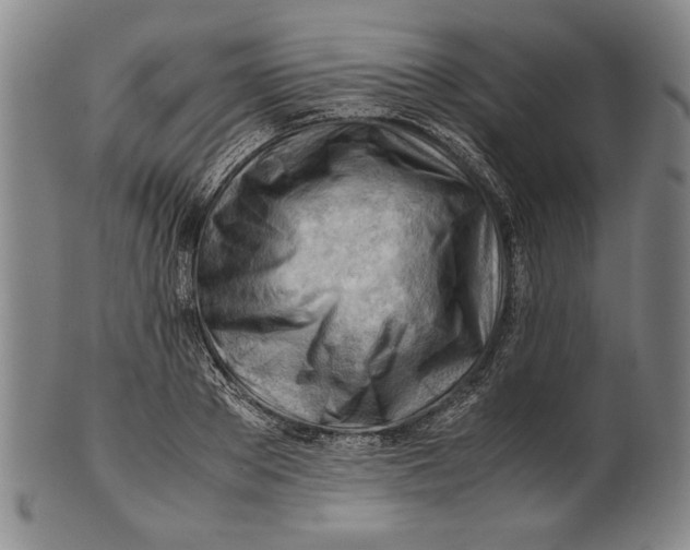 X0000101960889200808081526