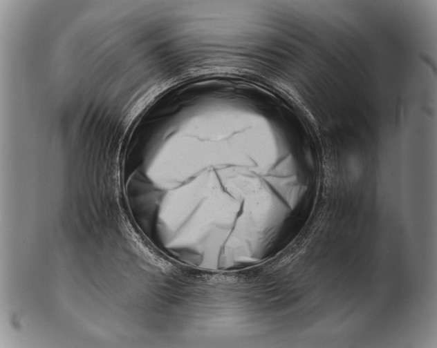 X0000101960890200808081526