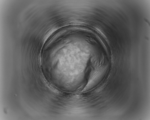 X0000101960891200808081526