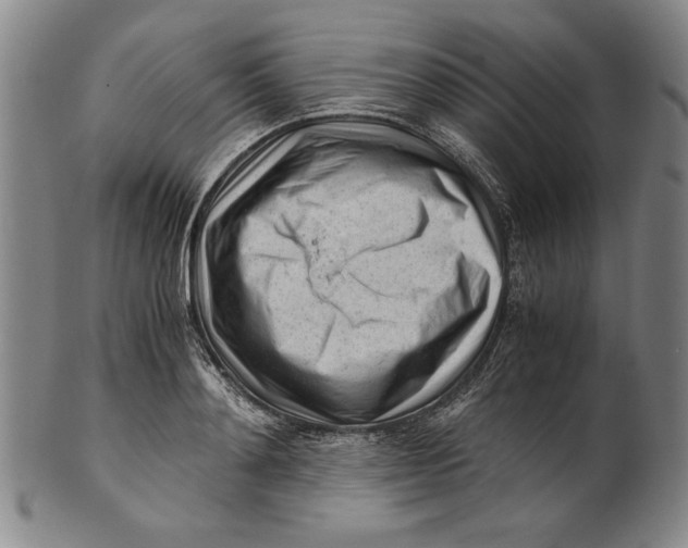 X0000101960892200808081526