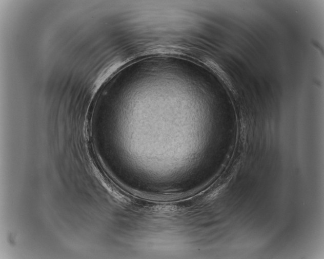 X0000101960893200808081526