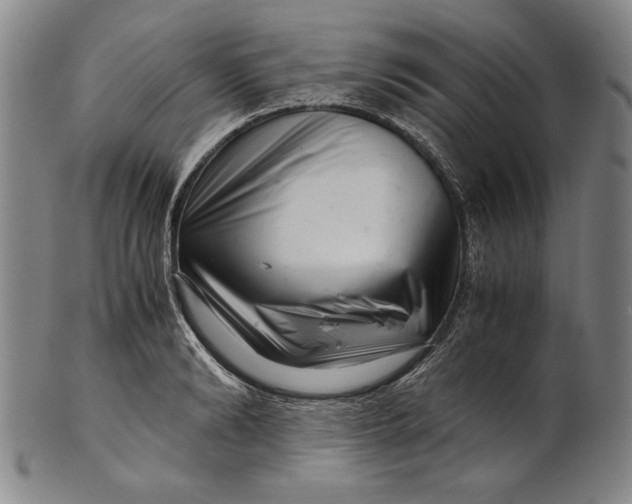 X0000101960894200808081526