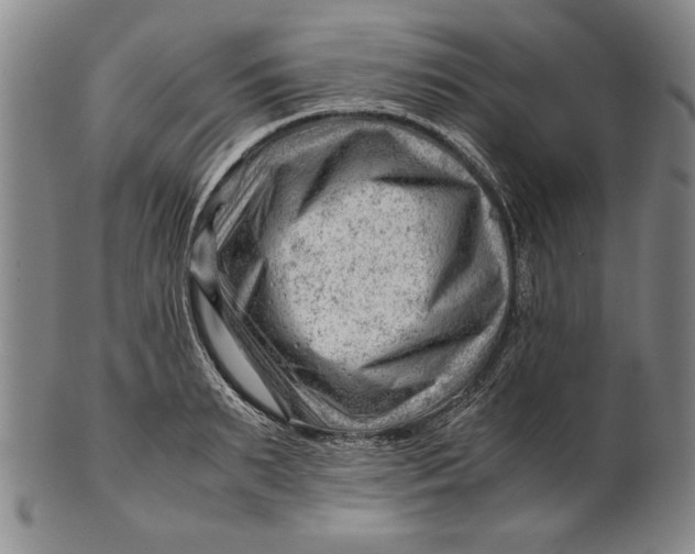 X0000101960895200808081526