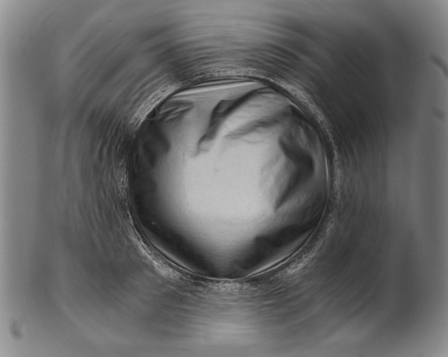 X0000101960897200808081526