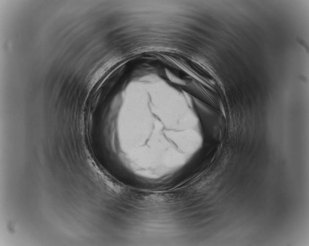 X0000101960898200808081526