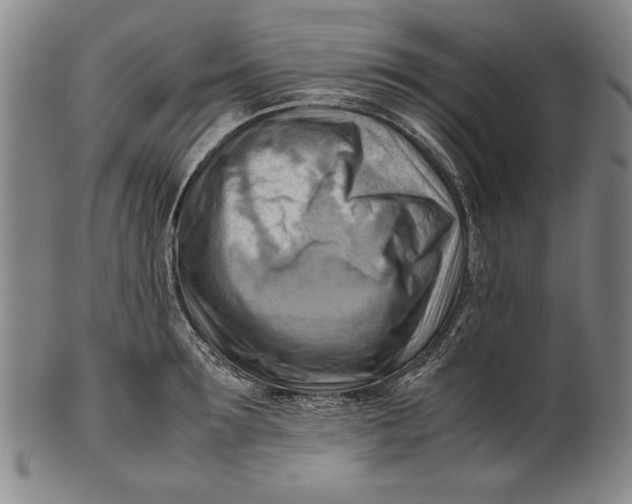 X0000101960899200808081525