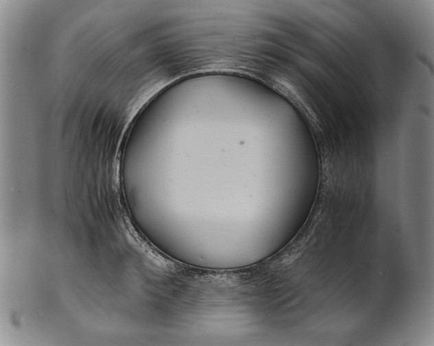 X0000101960900200808081525