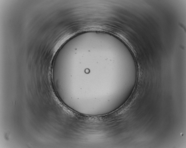 X0000101960901200808081525