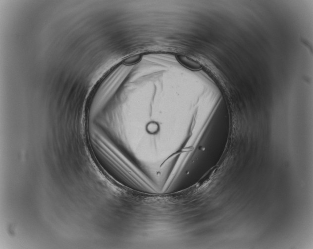 X0000101960902200808081525