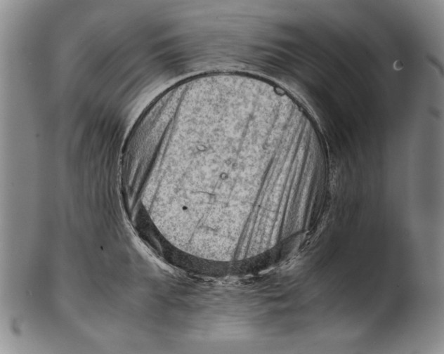 X0000101960903200808081525