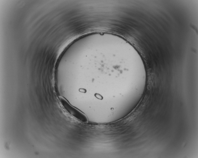 X0000101960904200808081525