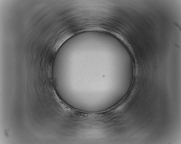 X0000101960905200808081525