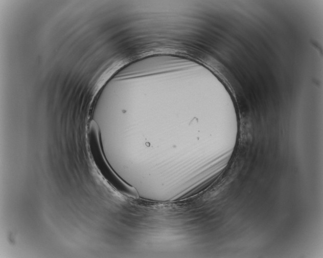 X0000101960906200808081525