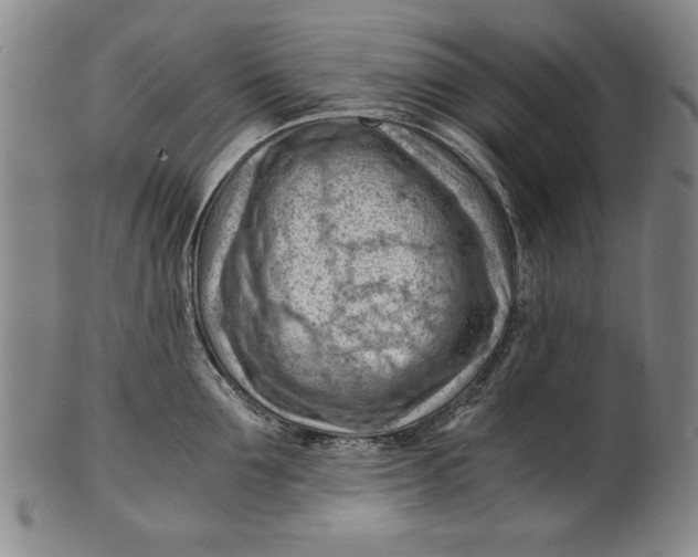 X0000101960907200808081525