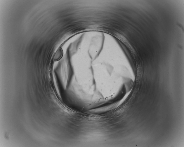 X0000101960908200808081525