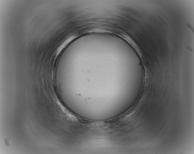 X0000101960909200808081525