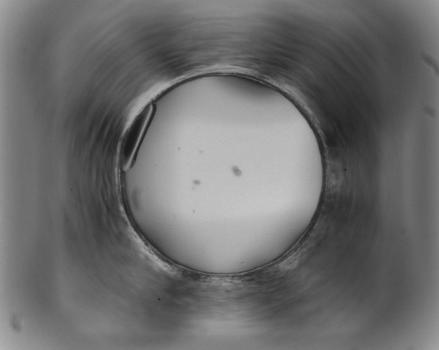 X0000101960910200808081525