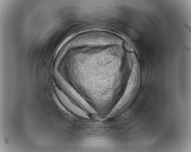 X0000101960911200808081525