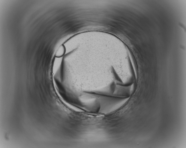 X0000101960912200808081525