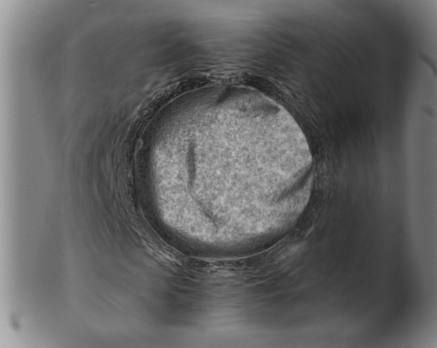 X0000101960913200808081524