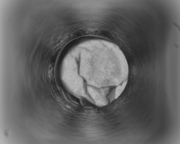 X0000101960914200808081524