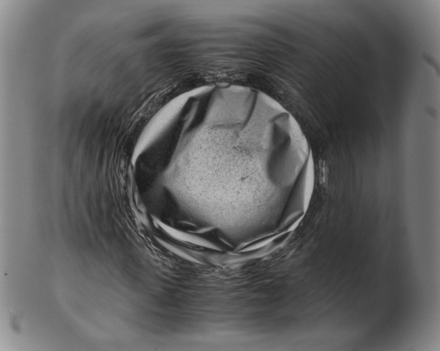 X0000101960915200808081525