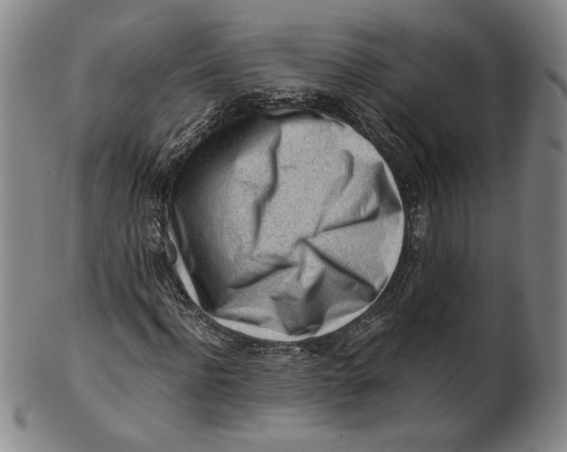 X0000101960916200808081525