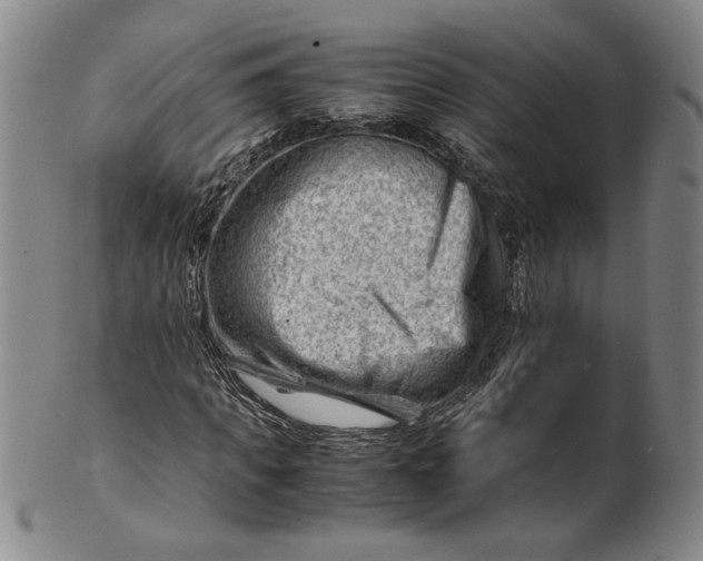 X0000101960917200808081525