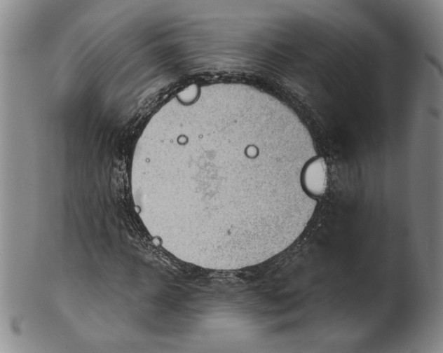 X0000101960918200808081525