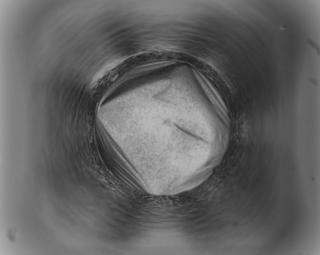 X0000101960919200808081525