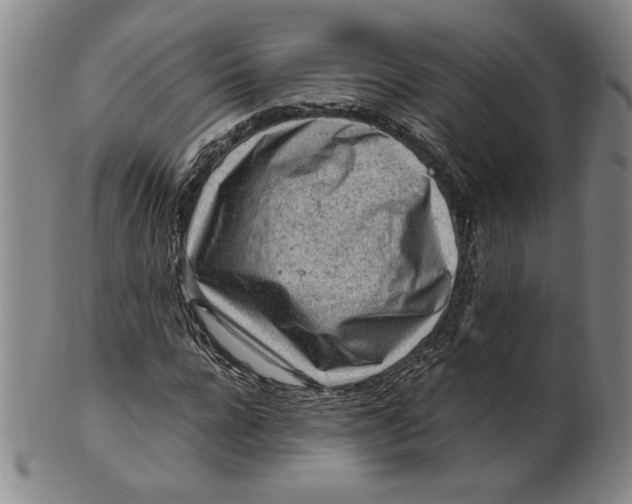 X0000101960920200808081525