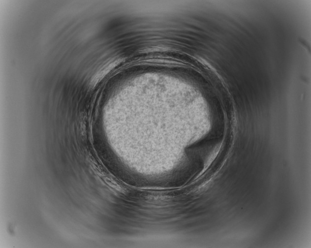 X0000101960921200808081525