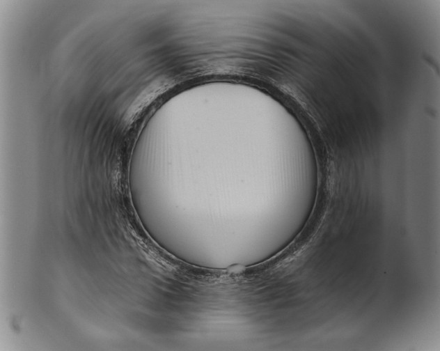 X0000101960922200808081525