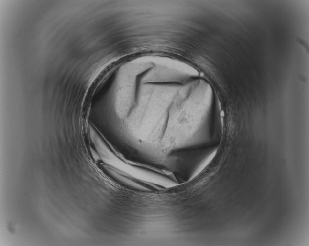 X0000101960924200808081525