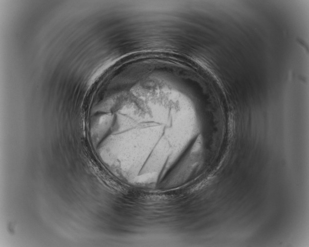 X0000101960925200808081525