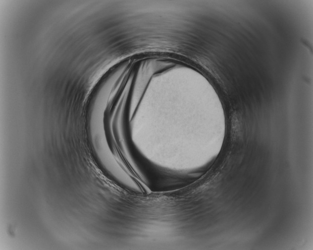 X0000101960926200808081525