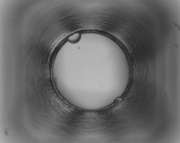 X0000101960927200808081525