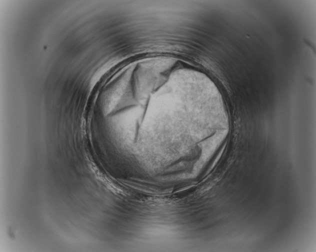 X0000101960928200808081525