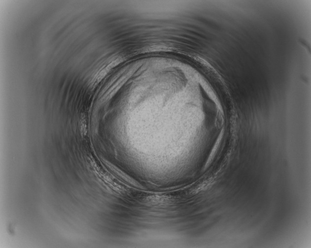 X0000101960929200808081525