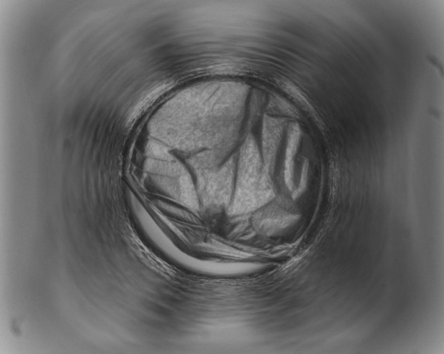 X0000101960930200808081525